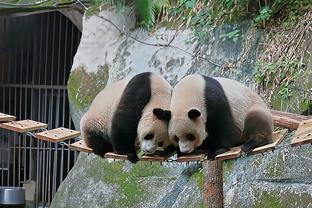 雷竞技下载二维码